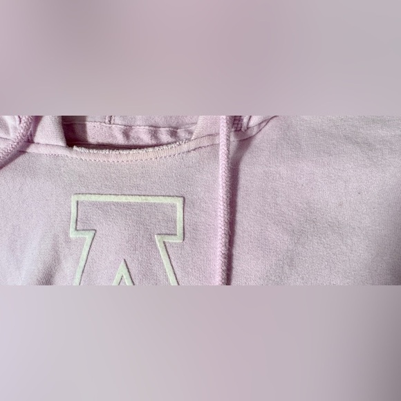 Vintage Abercrombie and Fitch AF Sweatshirt Lavender Hoodie Hooded Size Medium - Picture 7 of 8